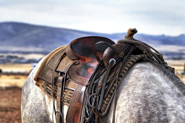 premium leather bridle close-up stitching equestrian gear